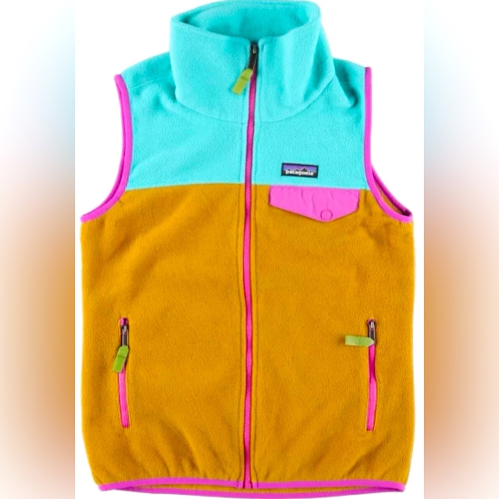 Patagonia Synchilla Snap-T Vest